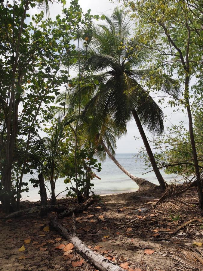 Blue Dream Beach - Residence Plage & Piscine Folle Anse Exterior photo