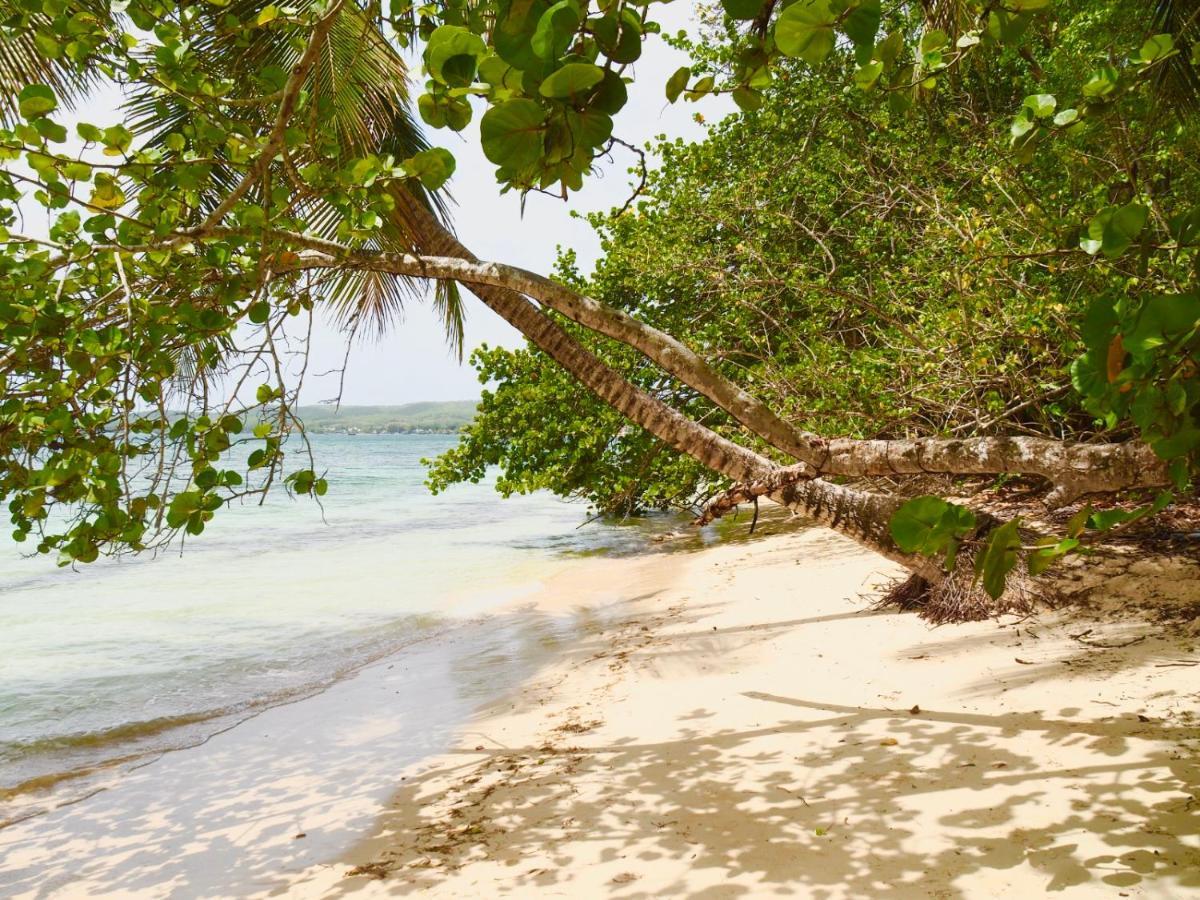 Blue Dream Beach - Residence Plage & Piscine Folle Anse Exterior photo