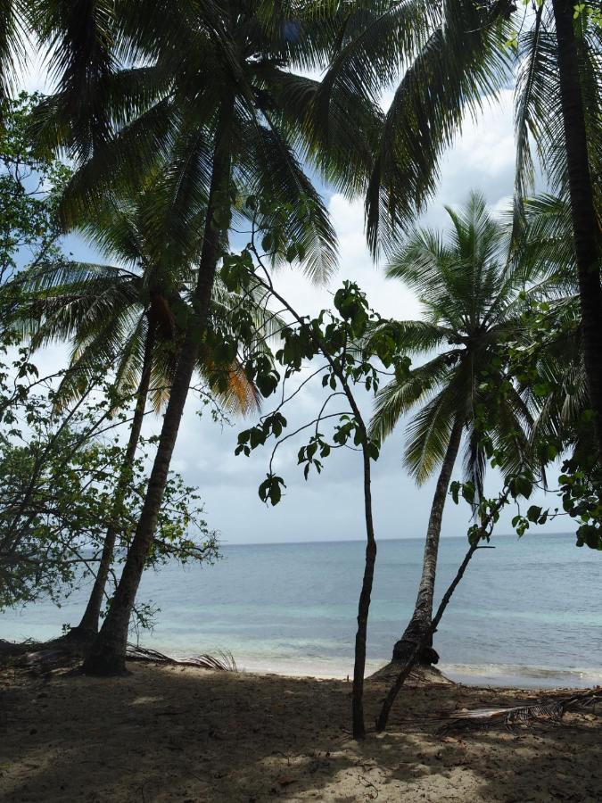 Blue Dream Beach - Residence Plage & Piscine Folle Anse Exterior photo