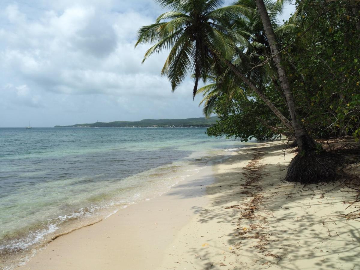 Blue Dream Beach - Residence Plage & Piscine Folle Anse Exterior photo